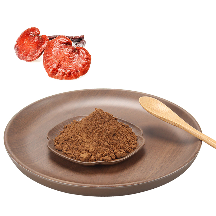 Experience Rejuvenation with Antioxidant-Packed Red Reishi